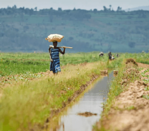Congo: African Development Bank’s Country Strategy Paper sets developing sustainable infrastructure and improving economic governance as key priorities