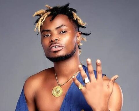Does Oladips' 'Super Hero Adugbo' Album