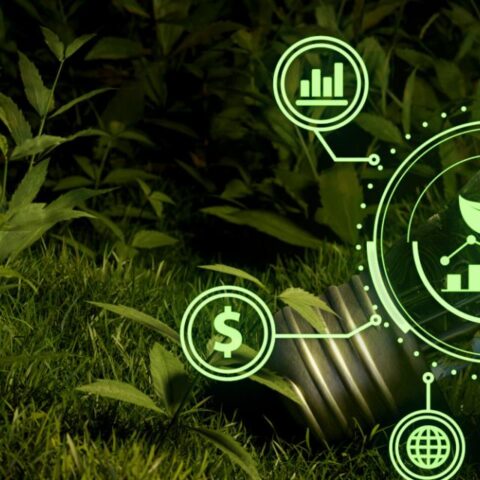 New Social Contract Vital For Accelerating Sustainable Development In Africa, Says ECA