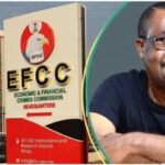 Alleged $6bn Fraud: EFCC Frees Former Power Minister