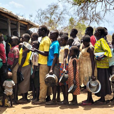 Why 78% Africans Are Unable To Afford Healthy Diet – U.N.