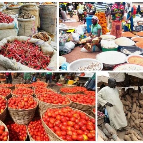 Is Nigeria’s Inflation Drop Government's Propaganda Or Genuine Relief?