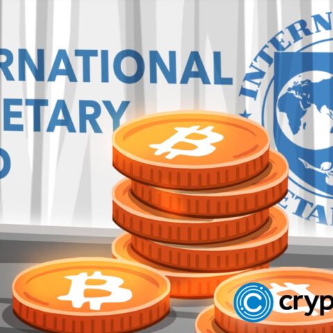 IMF Urges Caution On Crypto Adoption, Warns Of Macro-Financial Instability