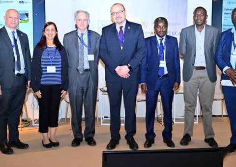 COP28: Experts Advocate Strengthened Partnerships For Climate Resilience Investments