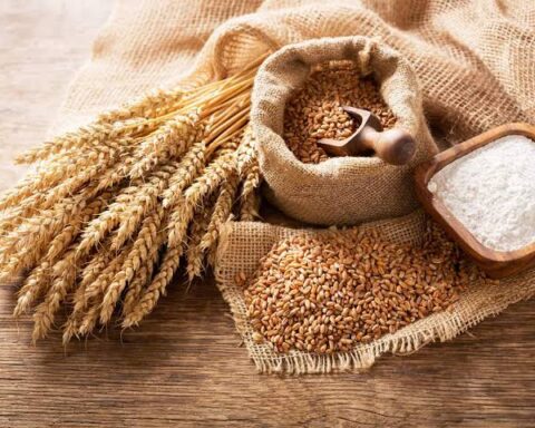 Nigeria's Wheat Imports Witness a Decline, Minister Foresees End To Imports In Upcoming Years