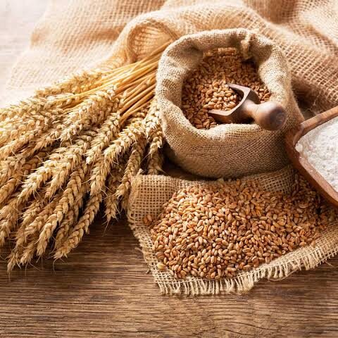 Nigeria's Wheat Imports Witness a Decline, Minister Foresees End To Imports In Upcoming Years