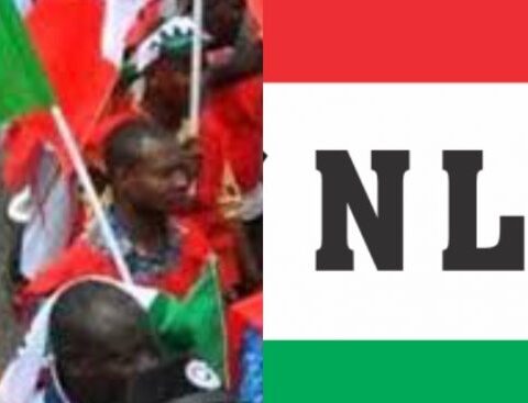 We Didn't Issue Strike Notice - NLC