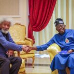 Why I Visited Tinubu -Soyinka Reveals 7-Point Agenda Discussion