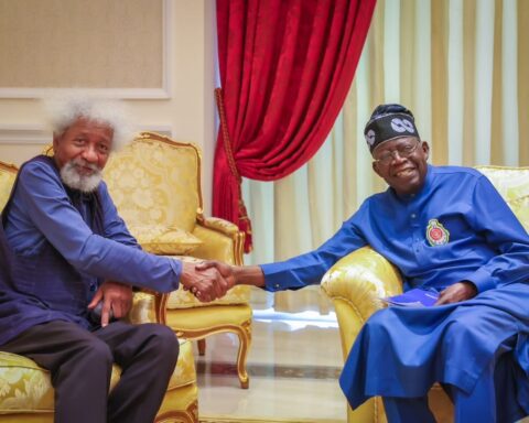 Why I Visited Tinubu -Soyinka Reveals 7-Point Agenda Discussion