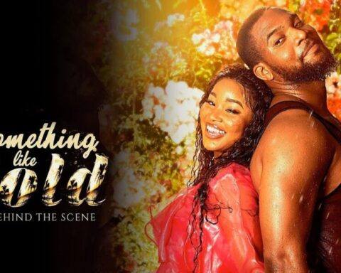 'Something Like Gold' Is Nollywood’s Highest Grossing Movie