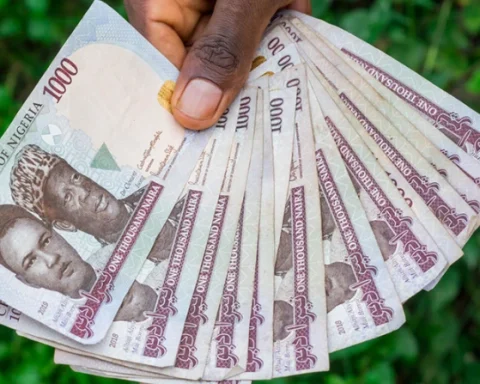Oluwadarasimi's Conviction Over Naira Abuse Must Not Be An Appeasement Of Special Interests