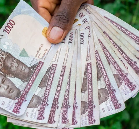 Oluwadarasimi's Conviction Over Naira Abuse Must Not Be An Appeasement Of Special Interests