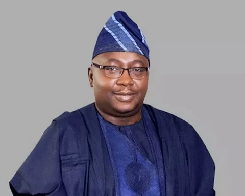 Stop Buying Electricity Infrastructure, Transformers, Poles - Power Minister Tells Nigerians
