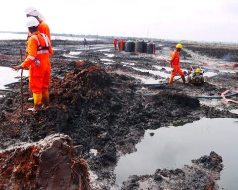 'Shell Must Address Ecological, Health, Economic and Social Impacts Concerns in Niger Delta Before Selling Assets'