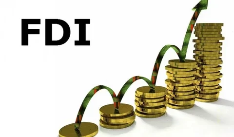 How FDI Triple Asset Disposal In Nigeria, Divestment Hits $200m In Q3 2023
