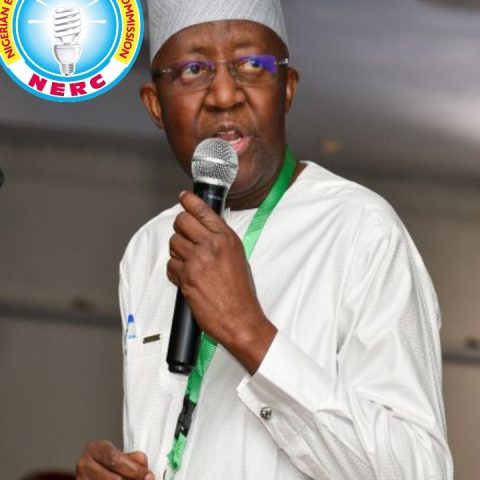 NERC Seeks Decentralization Of Electricity Regulation 