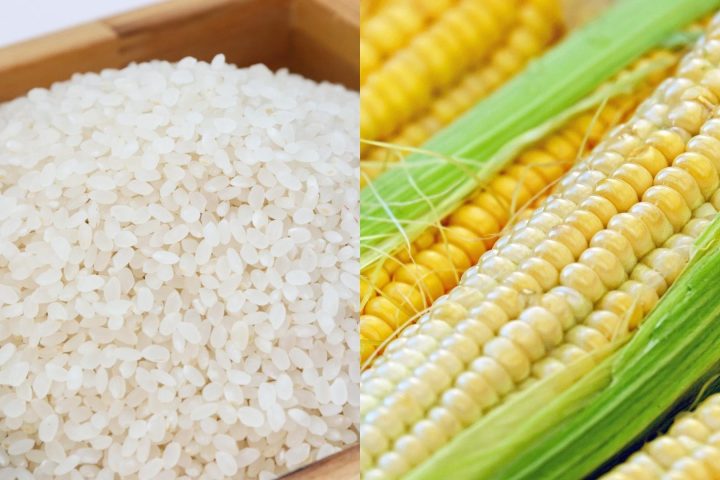 rice corn stock photo