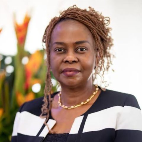 Dr. ChiChi Aniagolu-Okoye, Regional Director Ford Foundation, West Africa