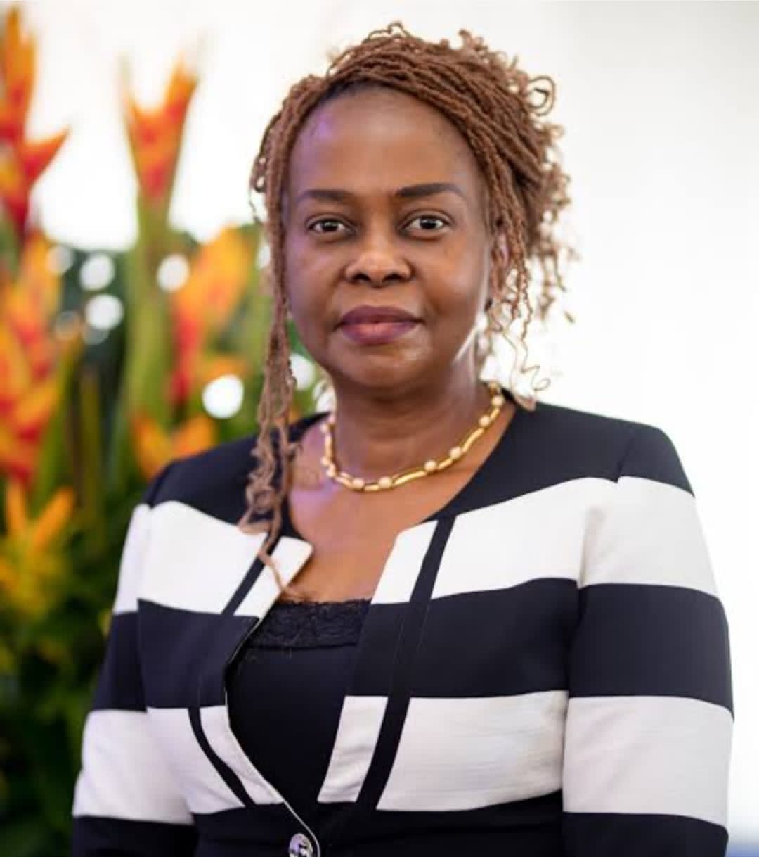 Championing Social Justice Through The Judiciary - Dr ChiChi Aniagolu