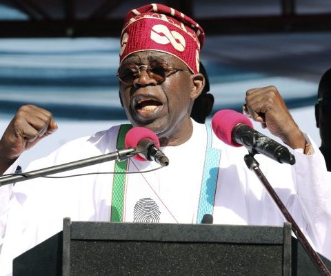 Presidential Or Parliamentary System: What Can Work For Nigeria?