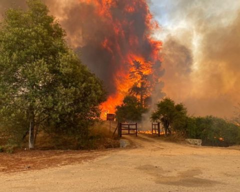 Death Toll Rises To 51 As Wildfires Spread In Chile, President Declares Emergency