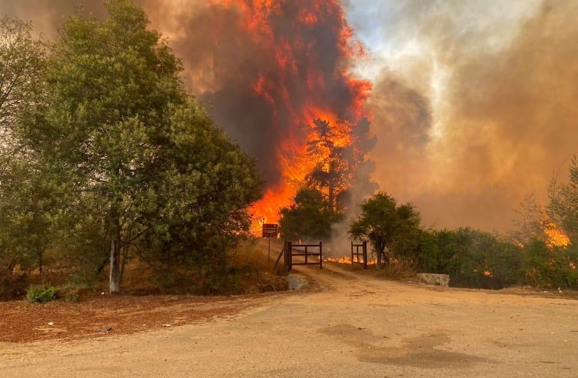 Death Toll Rises To 51 As Wildfires Spread In Chile, President Declares Emergency