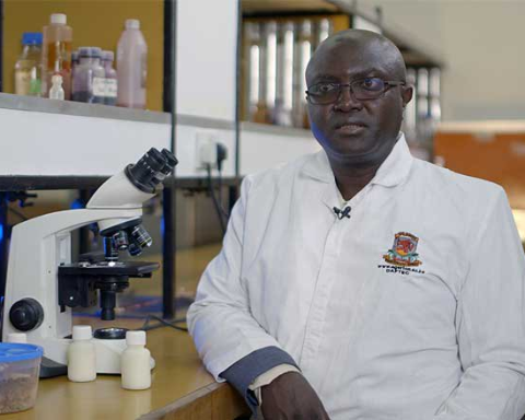 Making Fermented Milks in Kenya Safer—the Result of Local Research