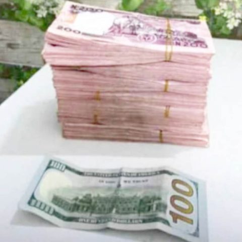 Naira Depreciation Spurs Surge in Raw Material Imports To N3trn- NBS Reveals