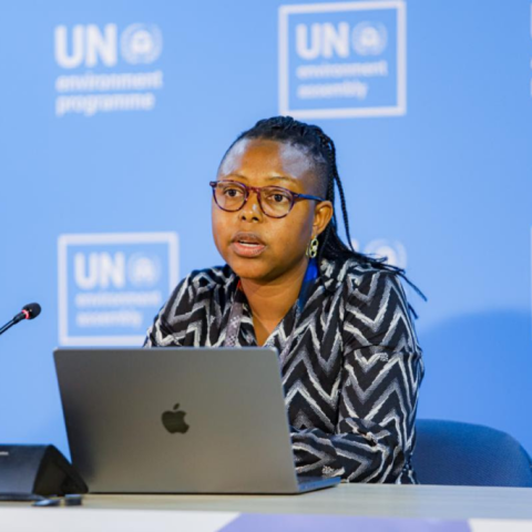 UNEA : Fossil Fuels Drive Both The Plastics And Climate Crises & Need An International Framework To Phase Them Out