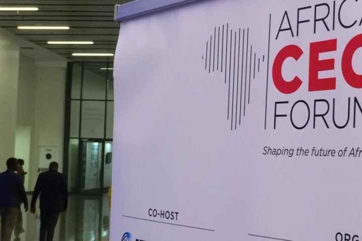 Africa CEO Forum 2024: Charting a New Economic Horizon In Kigali