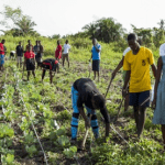 African Development Bank To Host Digital Climate Advisory Services Training For Agricultural Resilience In Central Africa