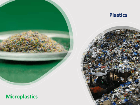 Microplastics Could Be Potential Health Risks