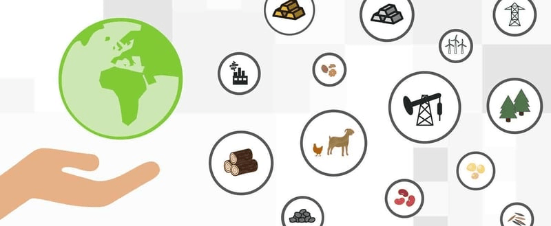 Unlocking Africa's Timber Potential: AfDB's Second Webinar Shines Spotlight On Trade Flows And Trends