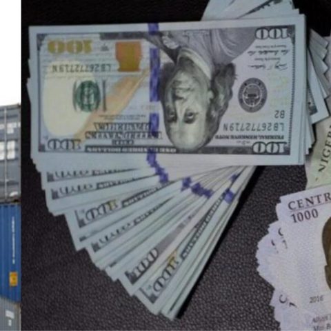 CPPE Highlights Why Nigerian Govt Should Review Customs FX Rate For Cargo Clearance