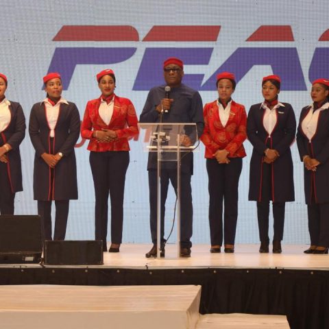 Air Peace Boss, Onyema, Charges Nigerians To Support Indigenous Investments, Eschew Violence