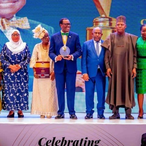 adesina wins awolowo award