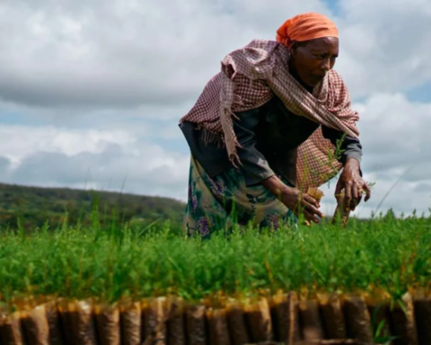 Ethiopia: African Development Fund grants $ million to improve access to water and sanitation for pastoral communities in the Borana region