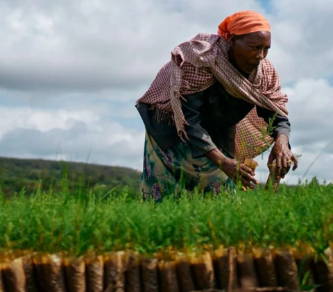 Ethiopia: African Development Fund grants $ million to improve access to water and sanitation for pastoral communities in the Borana region