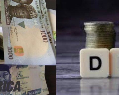 If States Pay Proposed New Minimum Wage, Nigeria May Be Bankrupt - Expert