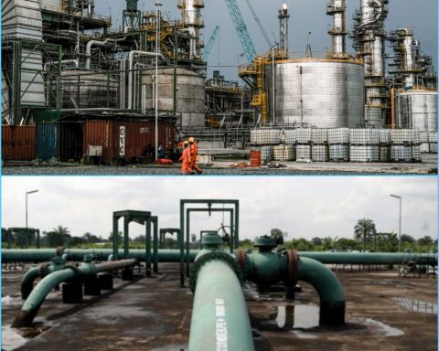 Expert Calls For Maximum Utilisation Of All Oil Wells As Production Declines Further