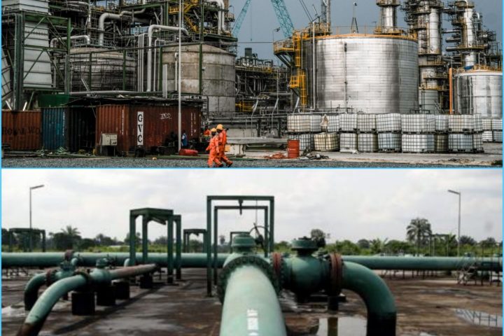 Expert Calls For Maximum Utilisation Of All Oil Wells As Production Declines Further