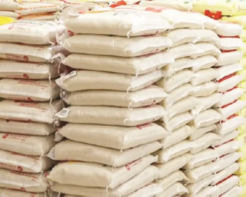 Rice Millers Reopen Factories As Paddy Import Becomes Affordable