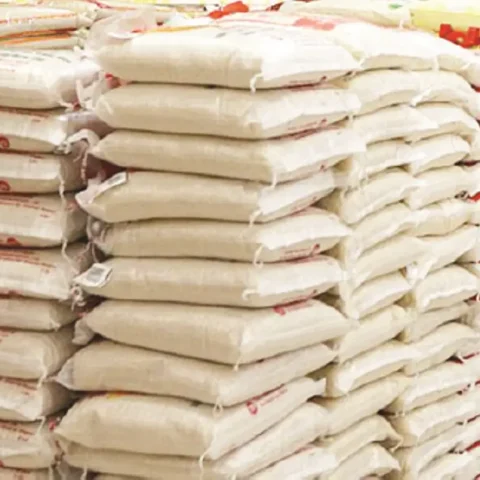 Rice Millers Reopen Factories As Paddy Import Becomes Affordable