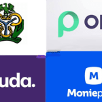 Nigerians Panic As CBN Ban Opay, Moniepoint, Others Over KYC Concerns