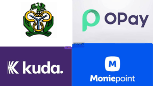 Nigerians Panic As CBN Ban Opay, Moniepoint, Others Over KYC Concerns