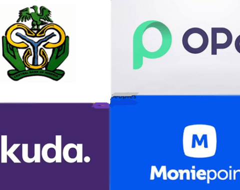Nigerians Panic As CBN Ban Opay, Moniepoint, Others Over KYC Concerns