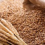 Nigeria's Naira Strains As Wheat Imports Rise: A Call For Local Production