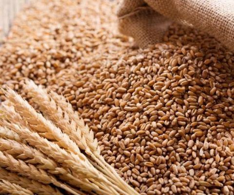 Nigeria's Naira Strains As Wheat Imports Rise: A Call For Local Production