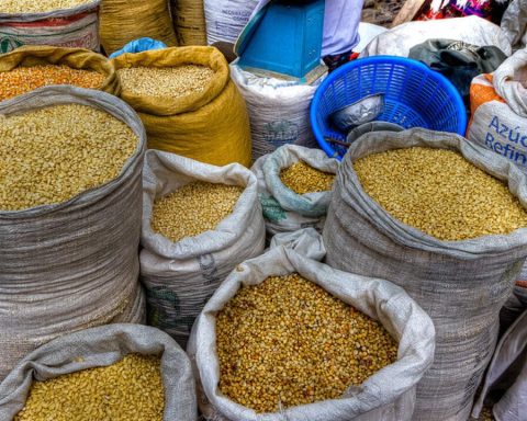 Food Crisis: Nigerian Govt Launches Distribution Of 42,000MT Of Grains Across The Nation