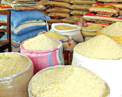 Naira Rebound Leads To Nationwide Drop In Rice Prices